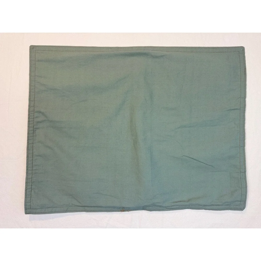 Lauren Ralph Lauren LRL Home Coastal Sea Mist Green‎ Pillow Sham NWOT 25.5